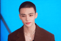 Stray Kids Skz GIF
