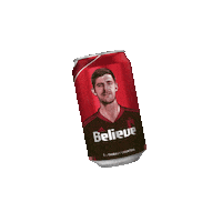 World Cup Football Sticker by Jupiler Belgium