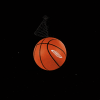 Basketball Celebrity GIF by Sportco