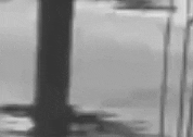 Art Film GIF by jorgemariozuleta