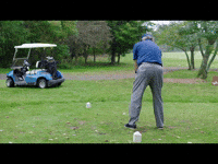 Golf GIF by Angela Shelton