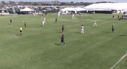 GIF by Seattle Sounders