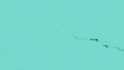bbc three lets settle this GIF by BBC