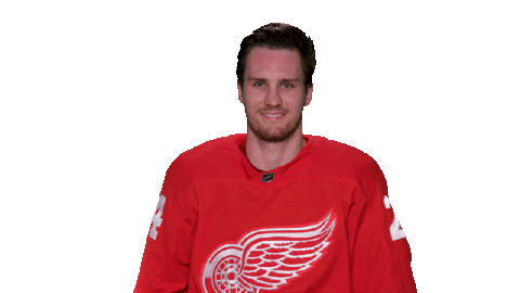 Red Wings Sport Sticker by Detroit Red Wings