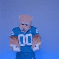Byu Football Sport GIF by BYU Cougars