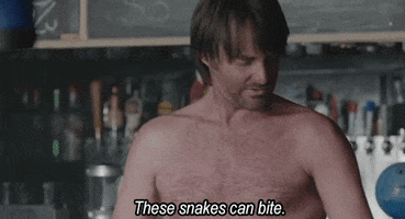 the last man on earth GIF by Fox TV