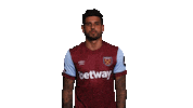 Premier League Football Sticker by West Ham United
