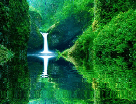 landscape GIF
