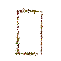 Star Shining Sticker