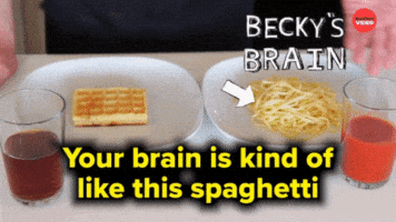 Brain like spaghetti