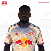 Happy Red Bulls GIF by New York Red Bulls