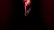 Scared Horror GIF by Wired Productions