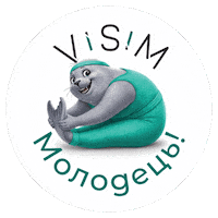 Visimtulen Sticker by Visim Sport Space