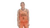 Vamos Liga Endesa Sticker by ACB