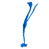 Pink Rainbow Sticker by asphaltbg