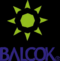 BALCOK travel reisen saudiarabia arabia GIF