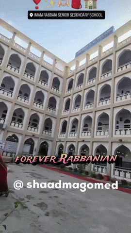 Shaadmagomed GIF