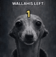 Dog Starving GIF