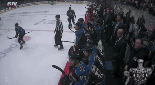 happy ice hockey GIF by NHL