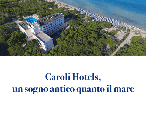 carolihotels giphyupload caroli hotels GIF
