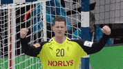 France Win GIF by EHF