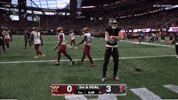 Im Him Hell Yeah GIF by Atlanta Falcons