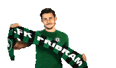 football Sticker by 1. fotbalová liga
