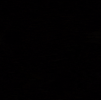 Daniel Bryan Wwe GIF