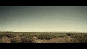 GIF by Signature Entertainment