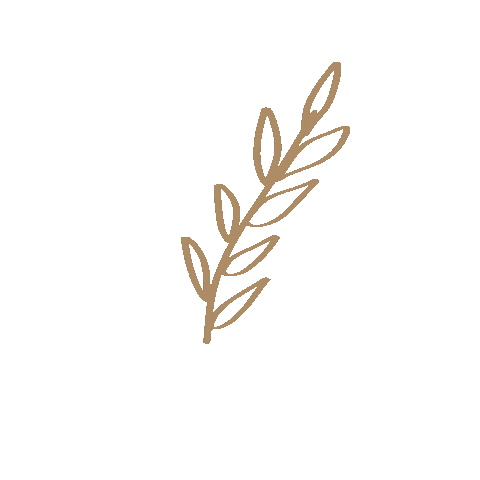 bellaqsboutique giphyupload minimal simple leaf Sticker