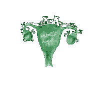 brendaopazo feminismo aborto abortolegal seraley Sticker