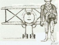 Face Plane GIF by Alex Boya