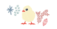 Party Chicken Sticker