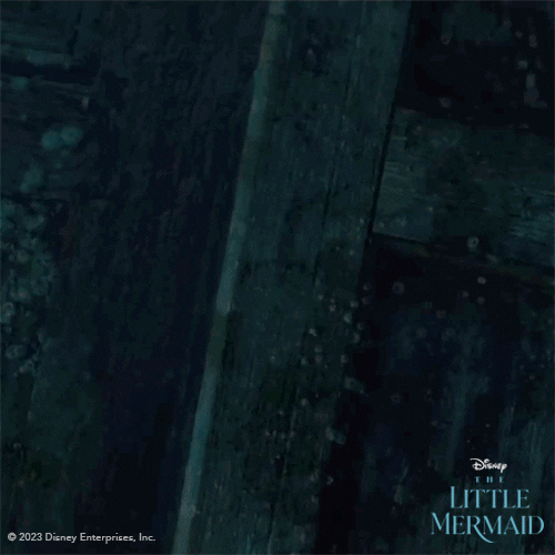 The Little Mermaid GIF by Walt Disney Studios