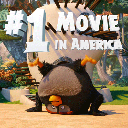 #1 GIF by Angry Birds