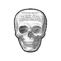 Memento Mori Illustration Sticker by The Wild Curiosity