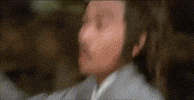 martial arts bros GIF by Shaw Brothers