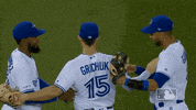 major league baseball hug GIF by MLB