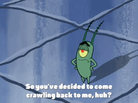 season 4 enemy in-law GIF by SpongeBob SquarePants