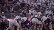 College Football Wildcats GIF by Northwestern Athletics