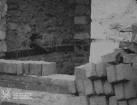 NationalWWIMuseum black and white surprise military spy GIF