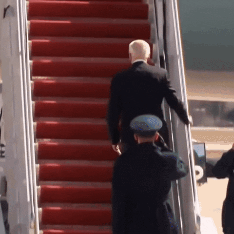 egyjozsef giphyupload game monkey biden GIF