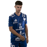 Hand Adidas Sticker by GRAND BESANÇON DOUBS HANDBALL