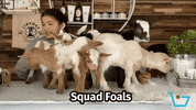 Friends Goat GIF by TalkShopLive