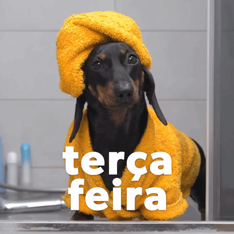 TerΓ§a Feira