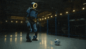 World Cup What GIF by Hyundai