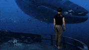 Virtual Reality Sea GIF by VR Here