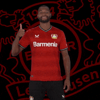 I Like Yes GIF by Bayer 04 Leverkusen