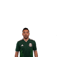 celebrate come on Sticker by MiSelecciónMX