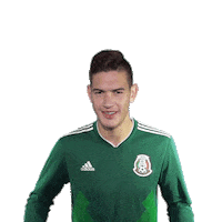 celebrate come on Sticker by MiSelecciónMX